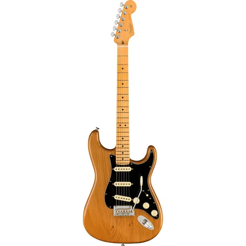 Fender American Professional II Stratocaster MN Natural front view